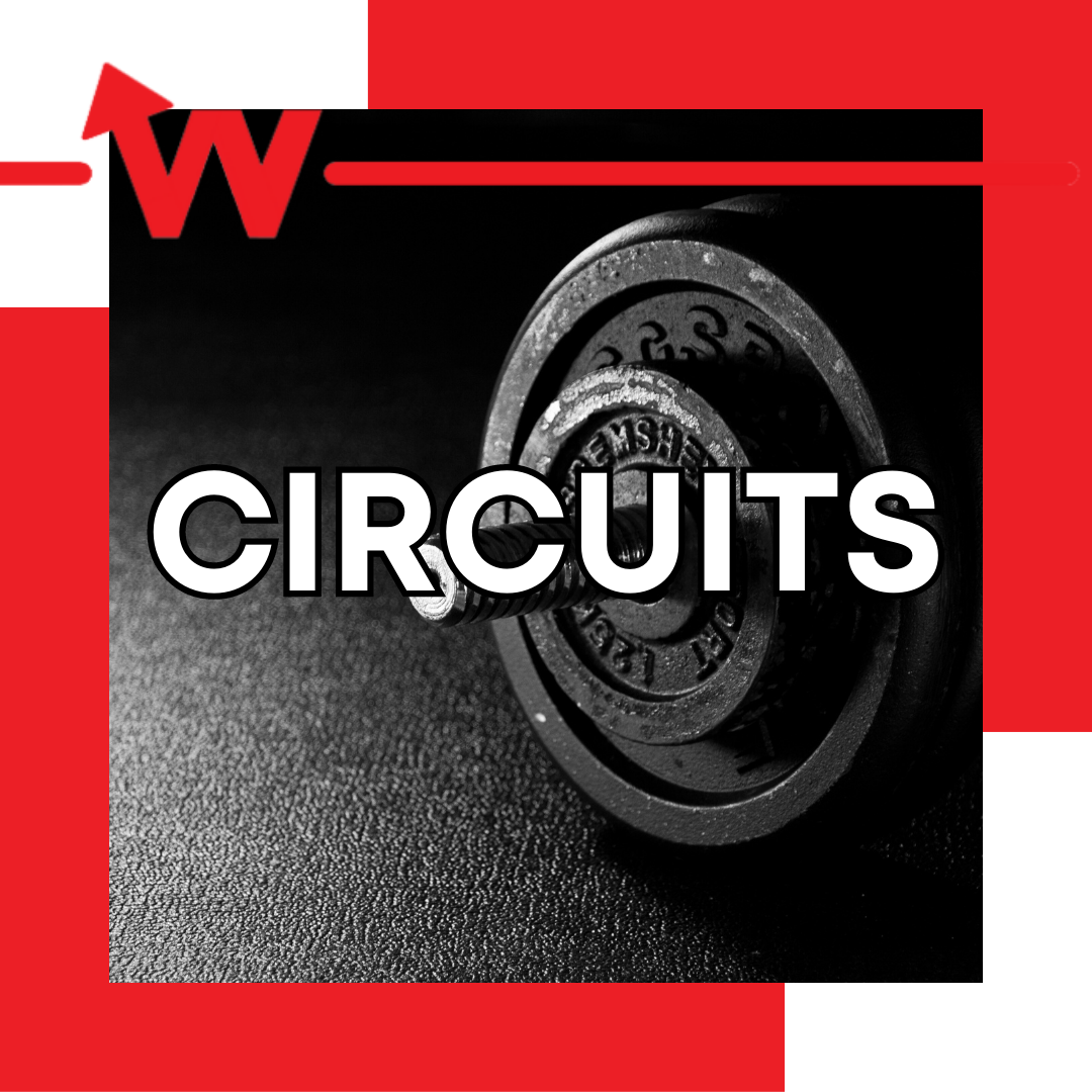 CIRCUITS