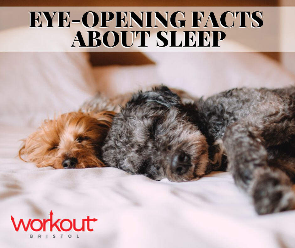 Eye-Opening Facts About Sleep